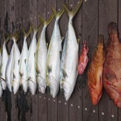 下関沖　ジギング